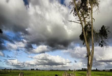 曼联欧联杯收入曝光，只够发卡塞米罗一人工资！拉爵再提票价被骂.