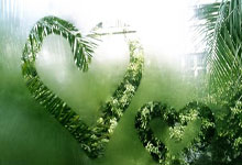 大连英博举行冠名仪式 总经理陈东：招商工作进度已达成80%.