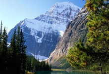 九游会官网：德媒：莱比锡红牛中锋谢什科更倾向加盟英超球队.