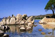 九游会官网:马德里市长:格列兹曼离开马竞我会很难过;他对球队影响深远.